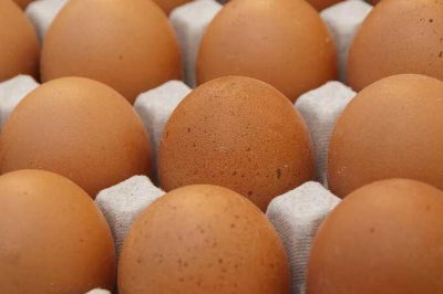 Россельхознадзор и Минсельхоз вводят ограничения на приобретение инкубационных яиц фермерами из-за увеличения стоимости